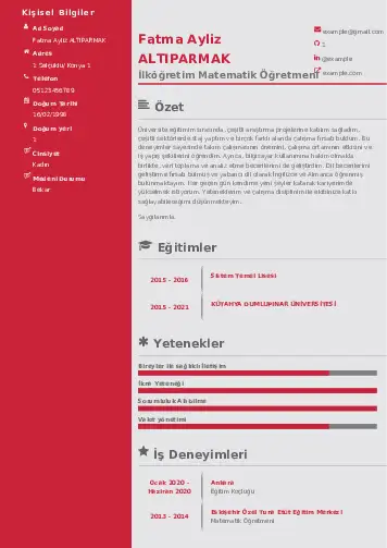 Matematik Öğretmeni Cv Örnekleri cv indir